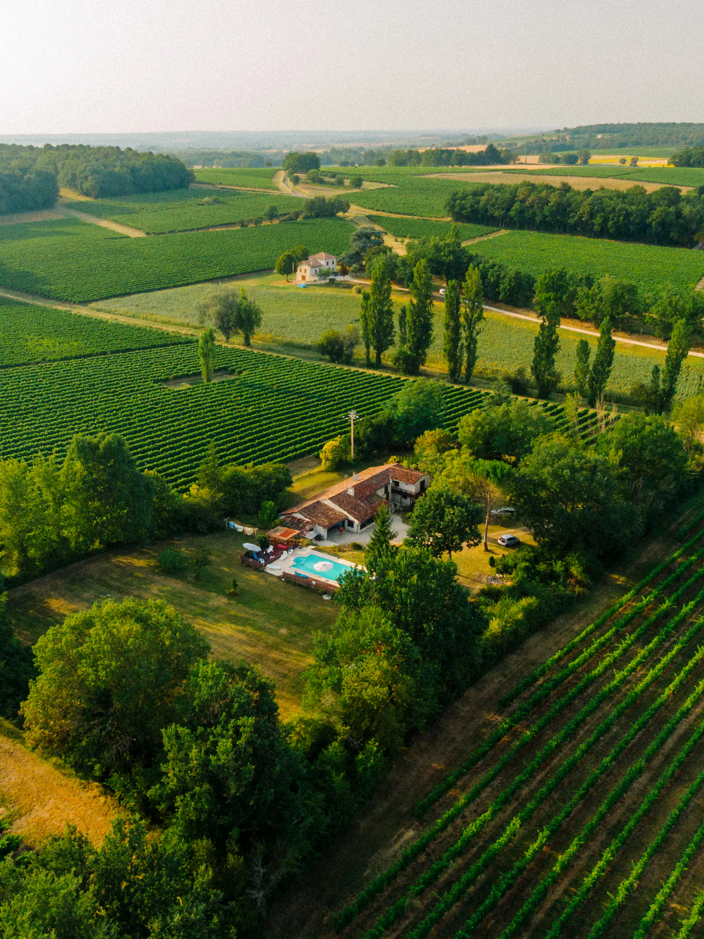 Aerial View, Vineyard Estate