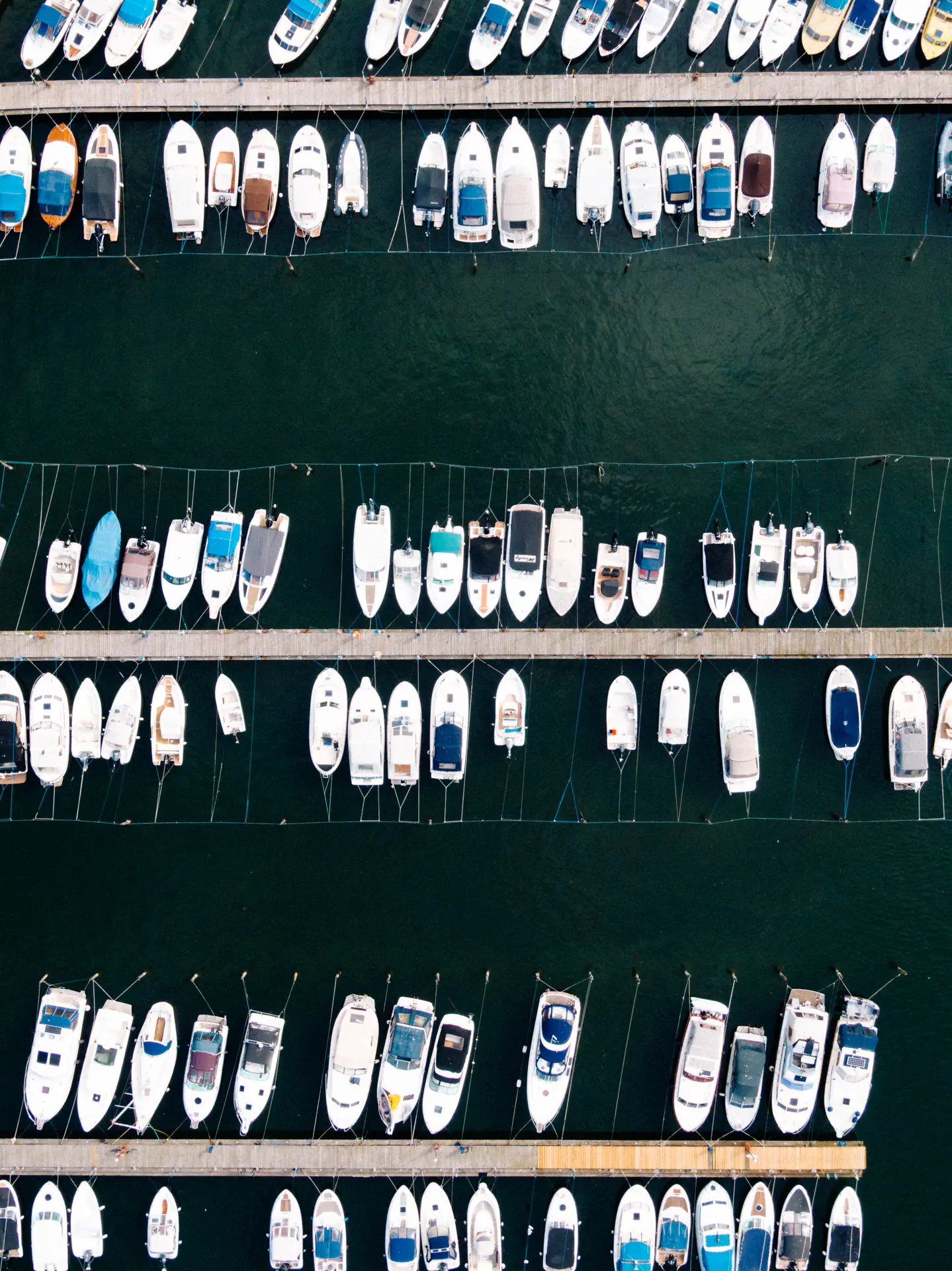 Aerial View, Marina Boat Slips
